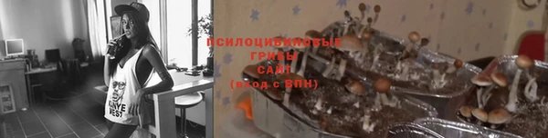 марихуана Белокуриха