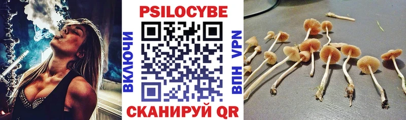 Галлюциногенные грибы прущие грибы гидра зеркало darknet как зайти Улан-Удэ