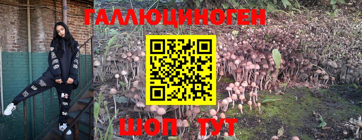 наркошоп  Псилоцибиновые грибы Cubensis  Улан-Удэ  Вход с VPN  Галлюциногенные грибы Psilocybe 